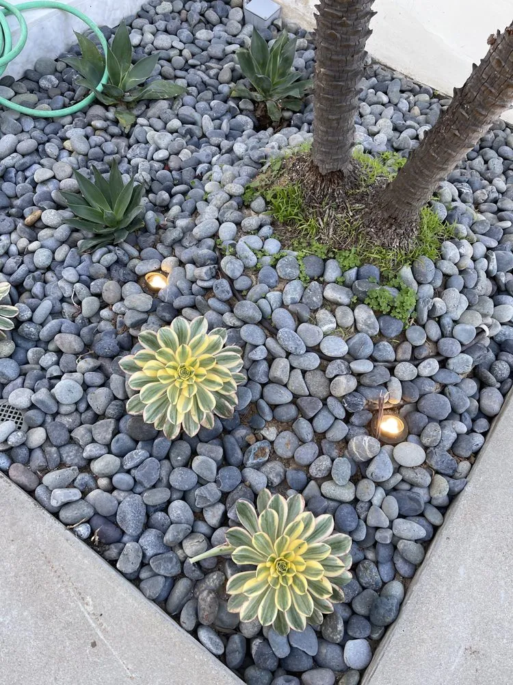 Top-rated garden landscaping in Escondido, CA by Romero Turf & Landscape