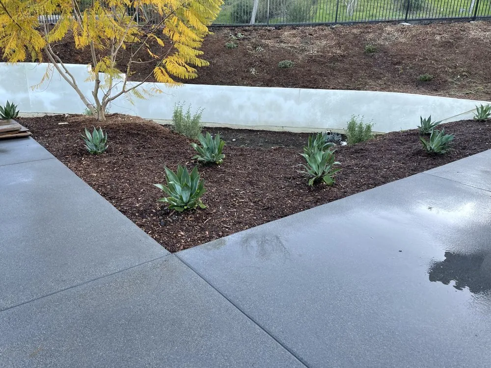 Local lawn care service experts serving Escondido, CA - Romero Turf & Landscape