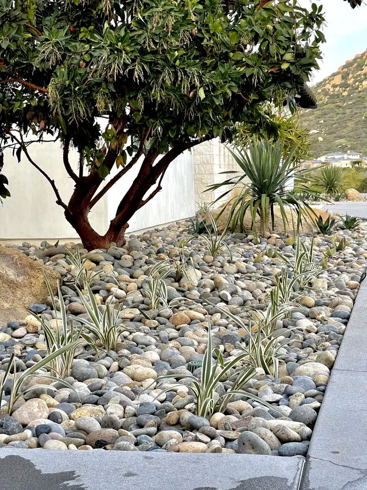 Local yard maintenance for residential properties across Escondido, CA - Romero Turf & Landscape