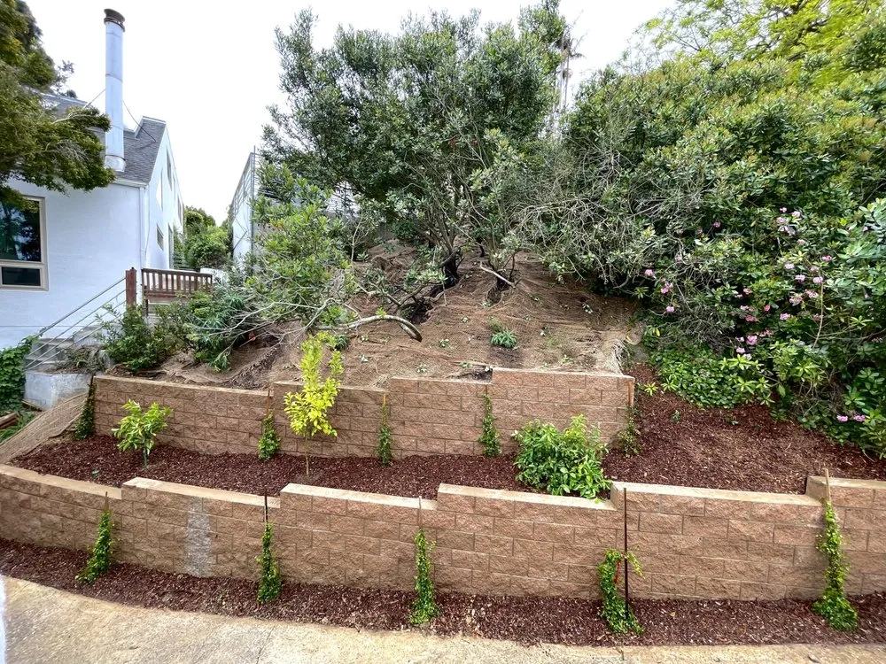 Trusted yard maintenance in Escondido, CA - Romero Turf & Landscape
