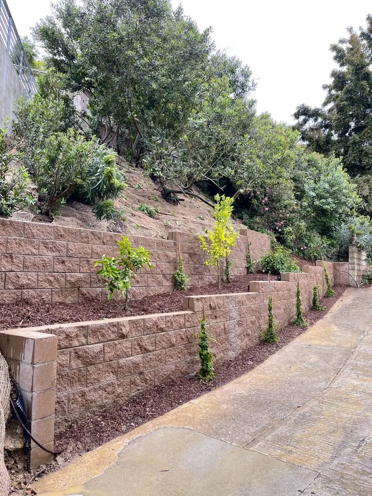 Trusted residential landscaping in Escondido, CA - Romero Turf & Landscape