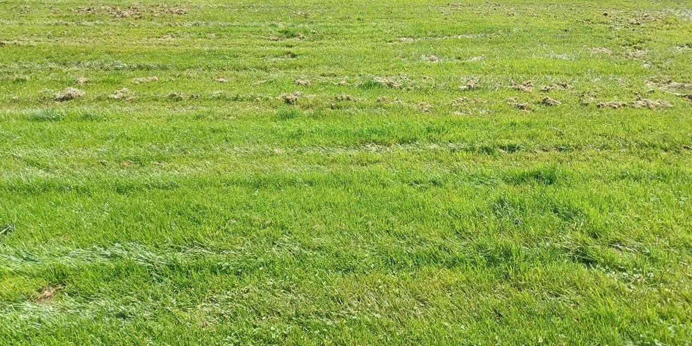 Local outdoor landscaping experts serving Silver Spring, MD - Romero Ventures