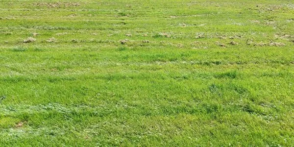 Romero Ventures Logo