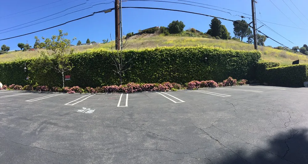 Custom yard maintenance in Torrance, CA by Romero’s Gardening