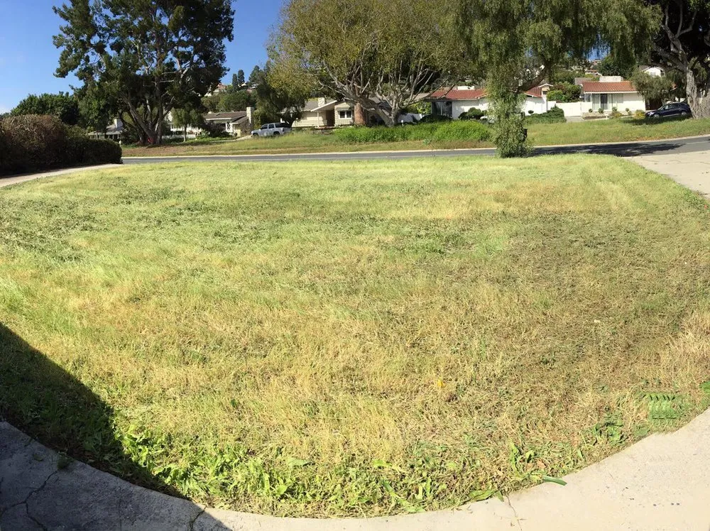 Local lawn care service in Torrance, CA - Romero’s Gardening