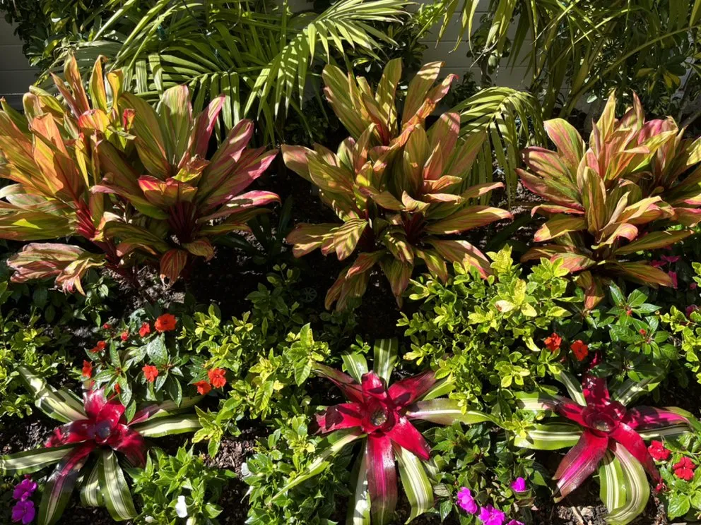 Affordable lawn mowing service for year-round maintenance across Torrance, CA - Romero’s Gardening