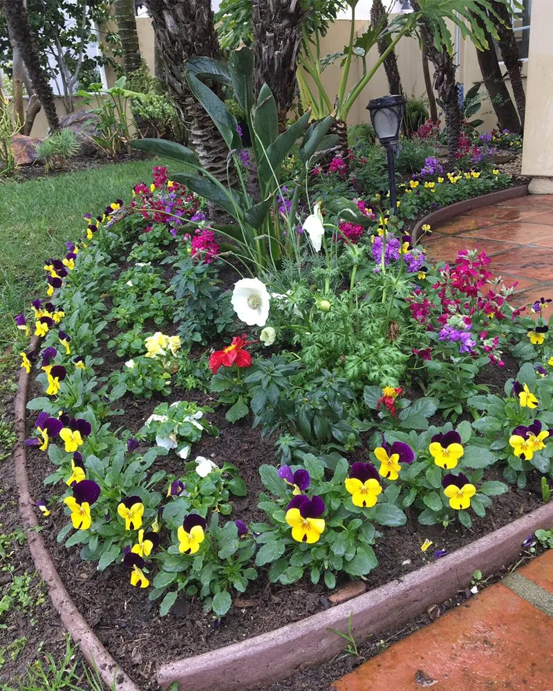Expert residential landscaping in Torrance, CA by Romero’s Gardening