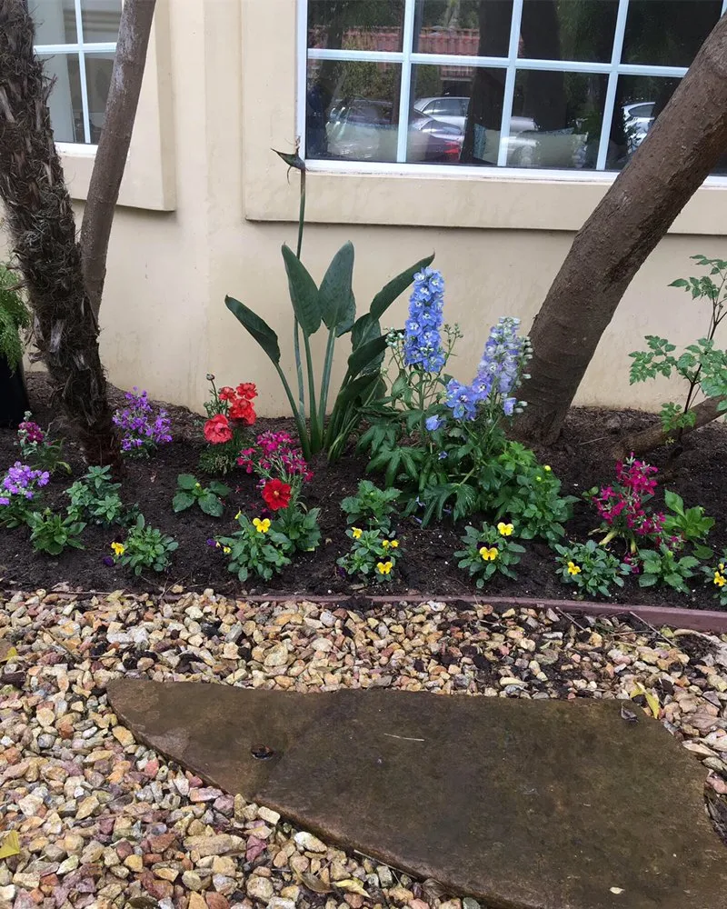 Top-rated residential landscaping for year-round maintenance across Torrance, CA - Romero’s Gardening