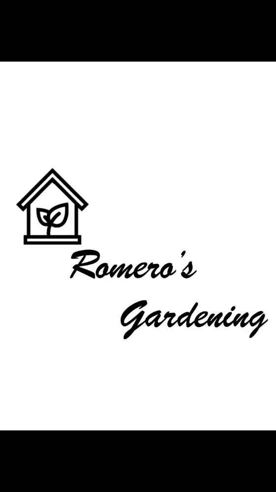Professional yard maintenance in Torrance, CA - Romero’s Gardening