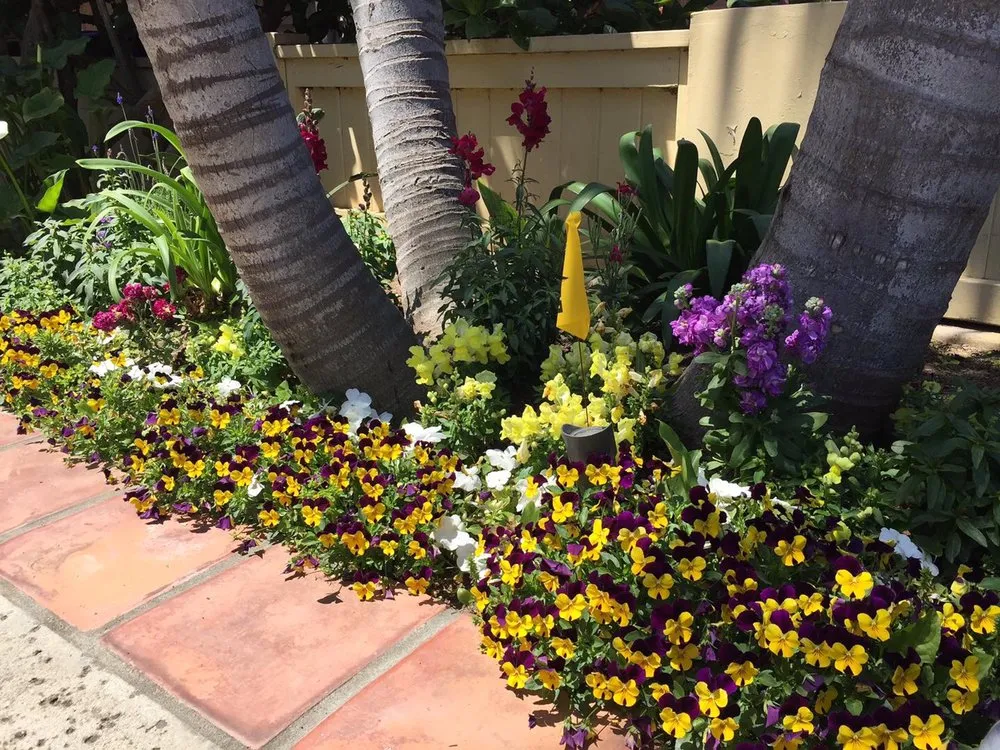 Affordable yard maintenance in Torrance, CA - Romero’s Gardening