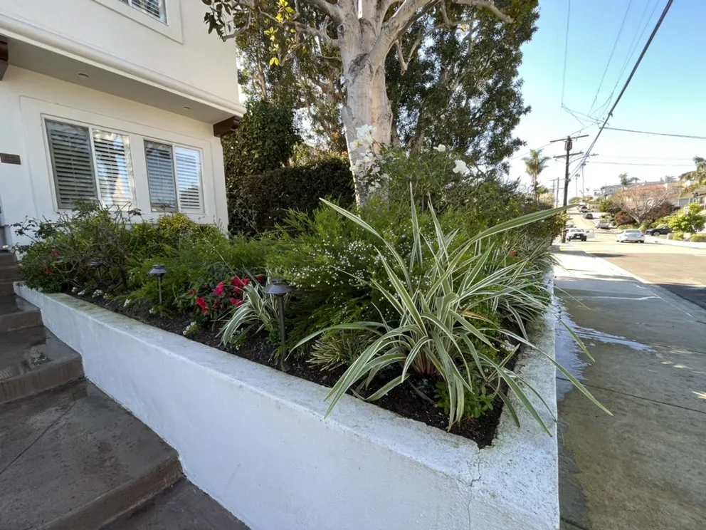 Reliable landscaping services in Torrance, CA by Romero’s Gardening