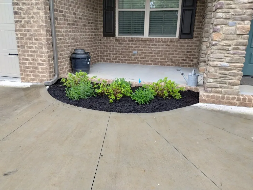 Custom yard cleanup service for beautiful yards across Maryville, TN - Romero's grounds management
