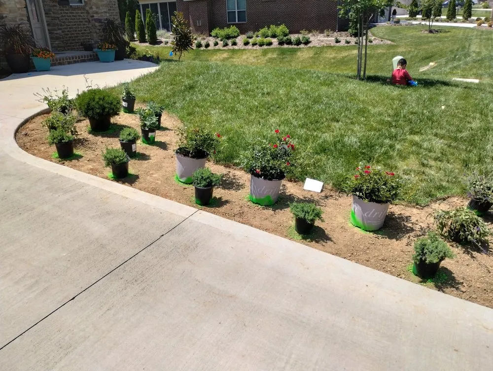 Top-rated yard maintenance for residential properties across Maryville, TN - Romero's grounds management