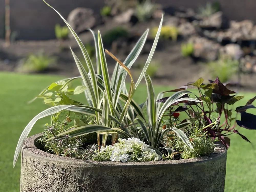 Local outdoor landscaping in Grass Valley, CA - Romero's Landscape