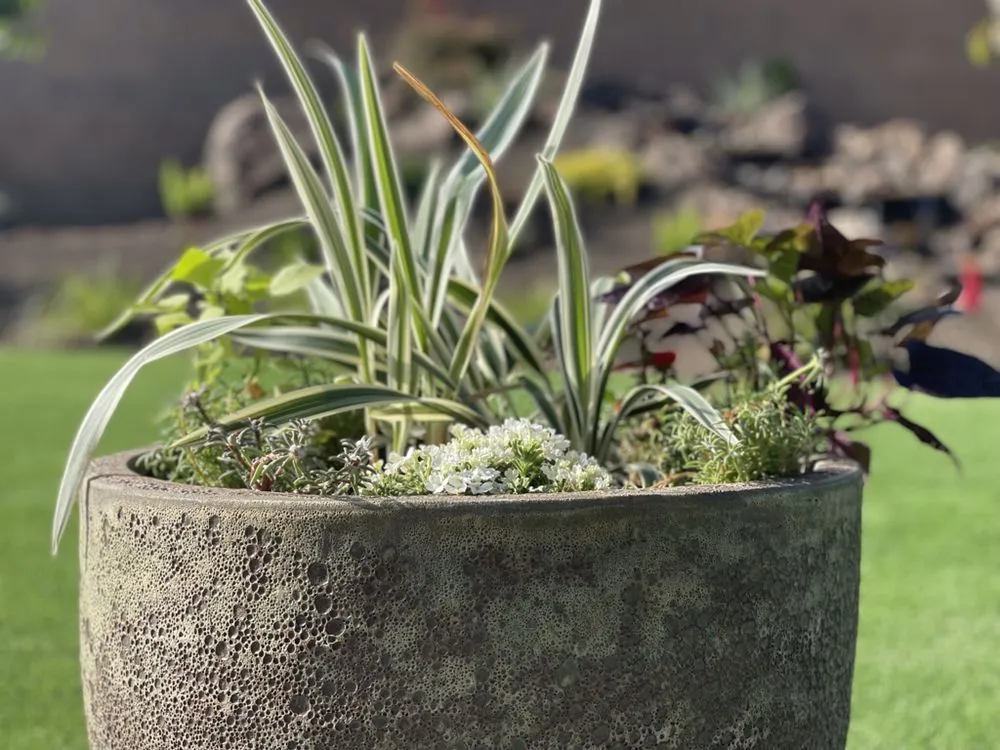 Expert landscaping services in Grass Valley, CA by Romero's Landscape