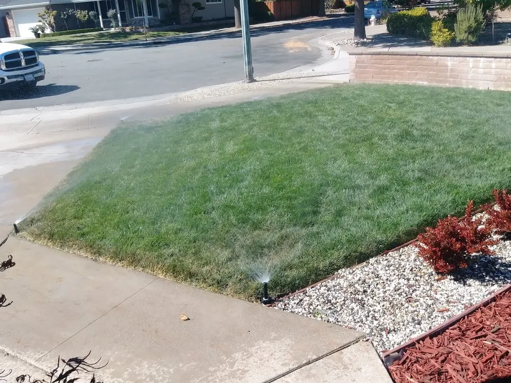 Custom outdoor landscaping for year-round maintenance in Modesto, CA by Romeros Landscape Service