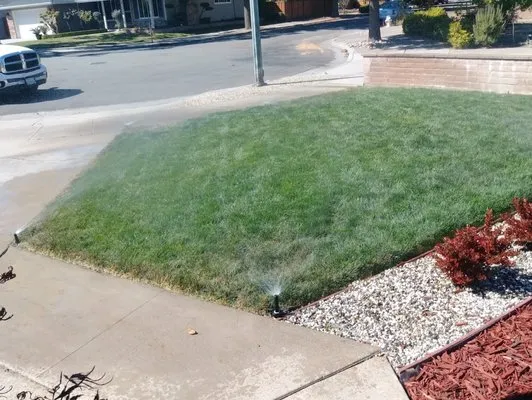 Romeros Landscape Service Logo