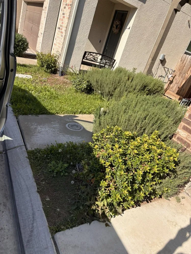 Affordable lawn mowing service experts serving Armona, CA - Romero’s Landscaping & Lawn-Care