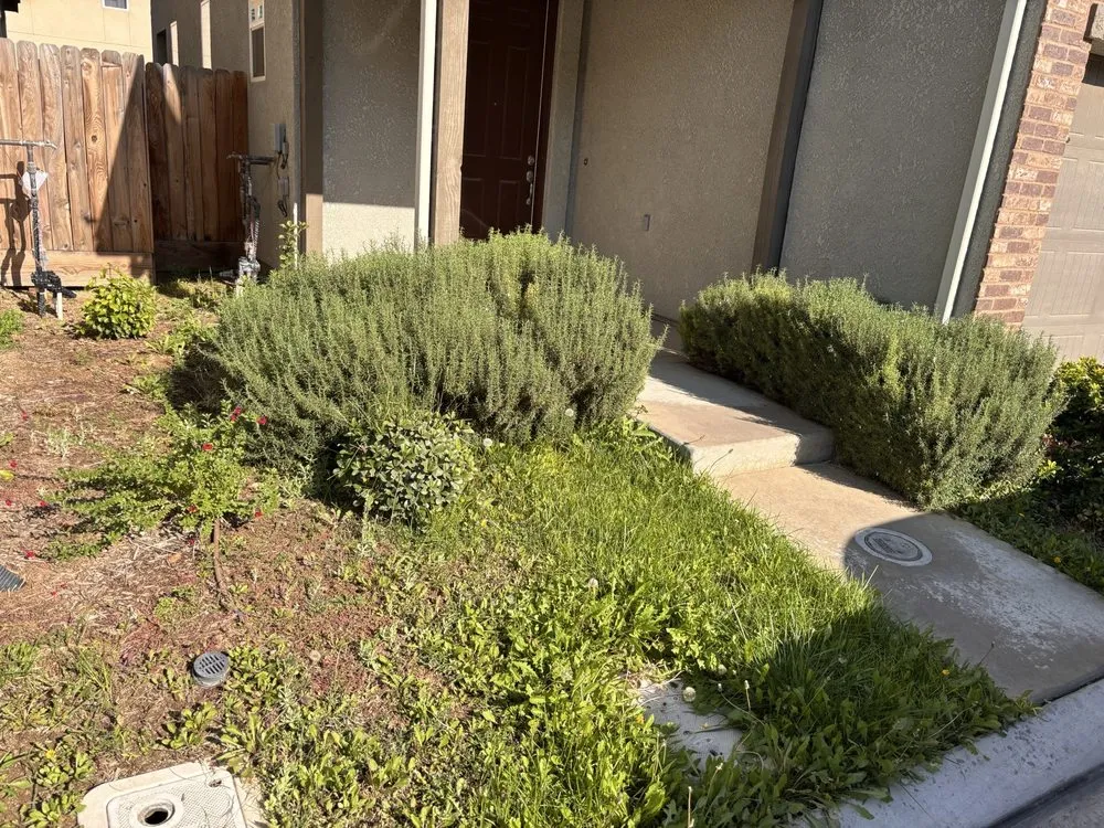 Reliable garden landscaping for homes in Armona, CA by Romero’s Landscaping & Lawn-Care