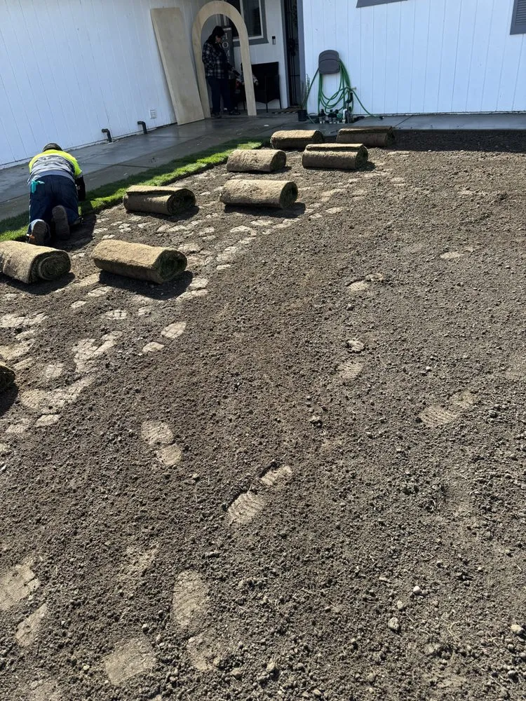 Top-rated lawn care service for outdoor upgrades across Armona, CA - Romero’s Landscaping & Lawn-Care