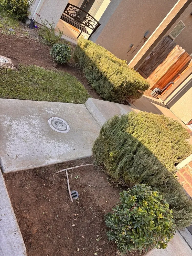 Reliable yard cleanup service in Armona, CA by Romero’s Landscaping & Lawn-Care