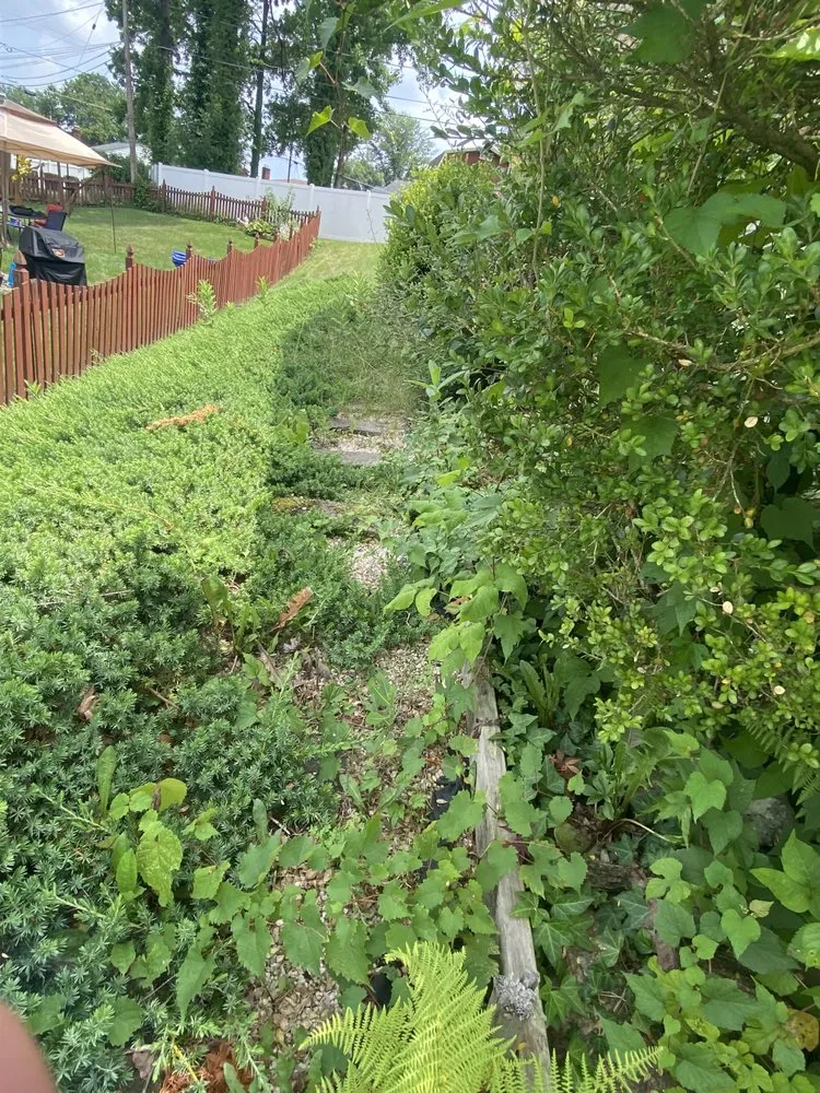 Custom lawn mowing service experts serving Edgewood, MD - Romero’s Landscaping