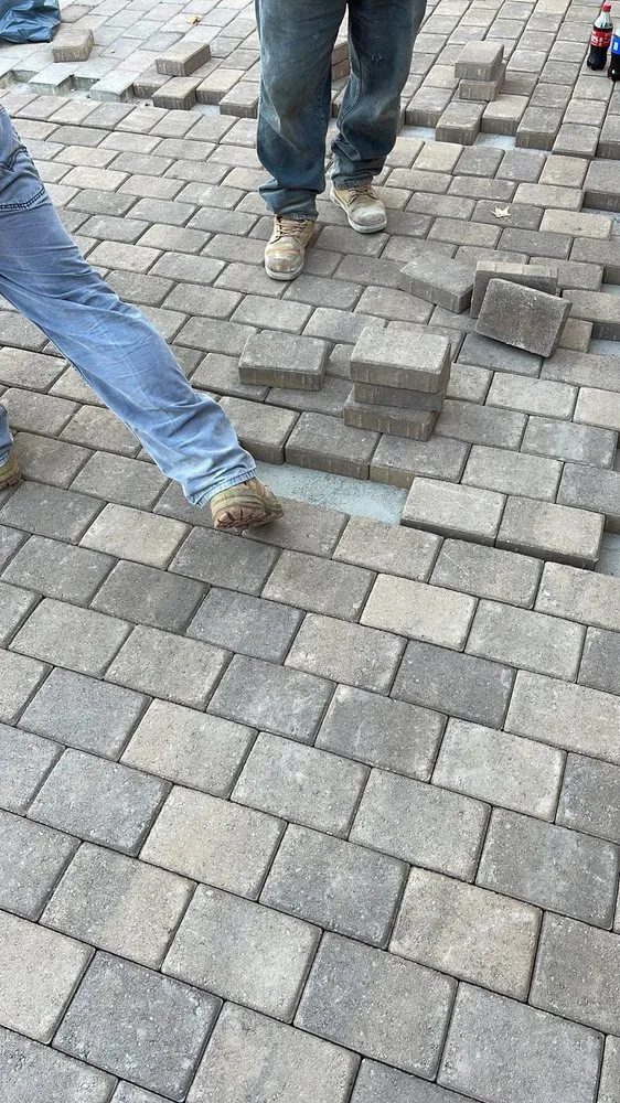 Trusted yard cleanup service experts serving Lemon Grove, CA - Romero's Landscaping