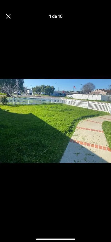 Affordable yard cleanup service in Lemon Grove, CA by Romero's Landscaping