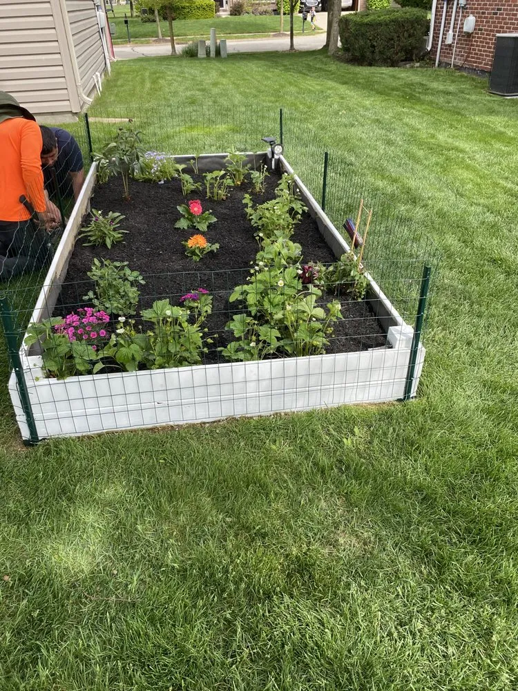 Expert yard cleanup service for homes across Westfield, IN - Romeros Lawnscaping