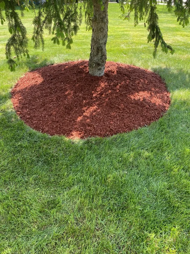 Professional garden landscaping in Westfield, IN by Romeros Lawnscaping