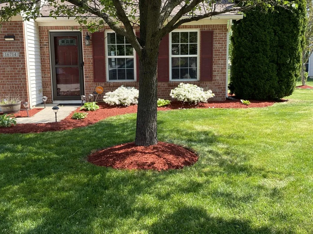 Trusted yard cleanup service in Westfield, IN - Romeros Lawnscaping