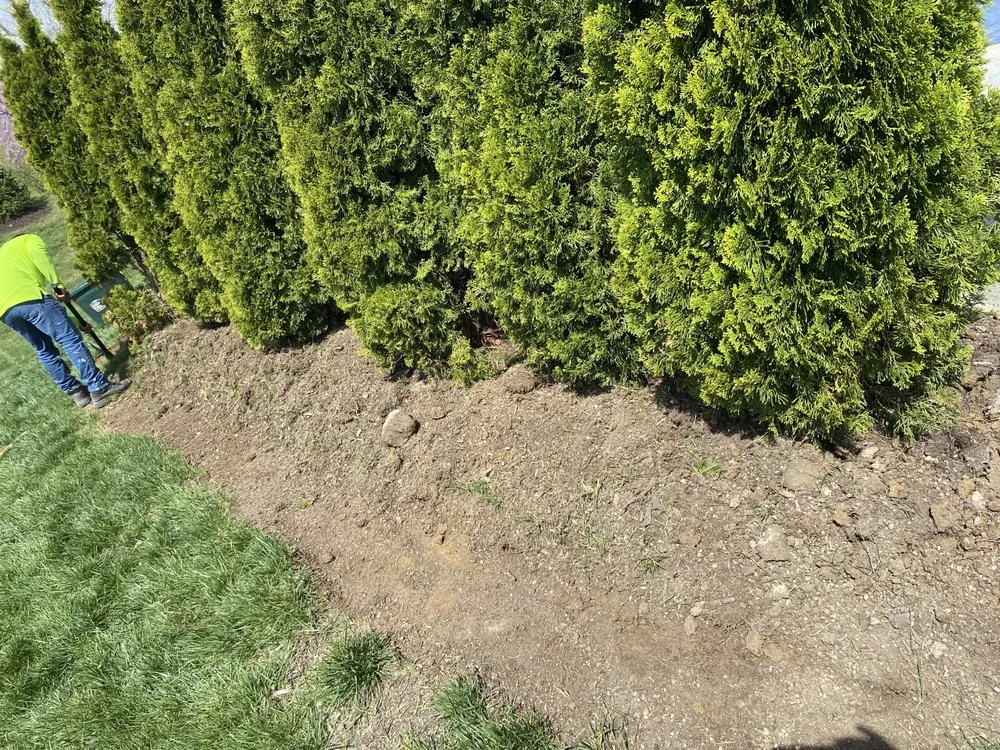 Custom yard cleanup service in Westfield, IN - Romeros Lawnscaping