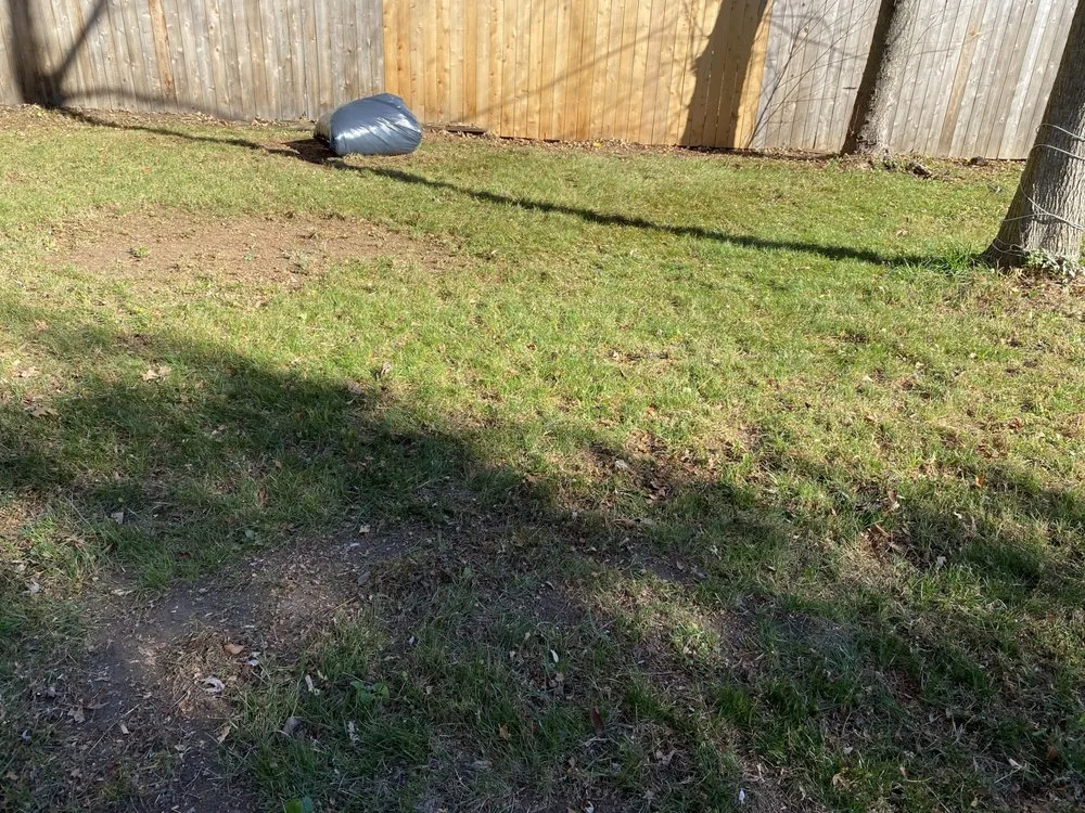 Professional lawn mowing service for residential properties across Westfield, IN - Romeros Lawnscaping