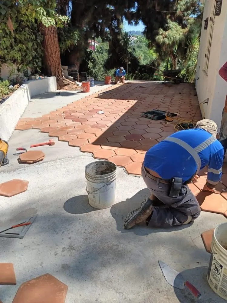 Custom yard cleanup service in Orange, CA by Romero's Tree & Landscaping Services