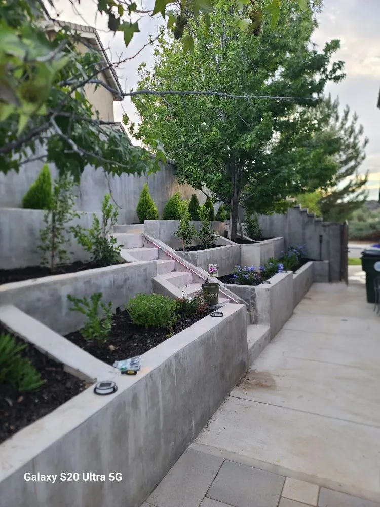 Custom lawn care service for year-round maintenance in Orange, CA by Romero's Tree & Landscaping Services