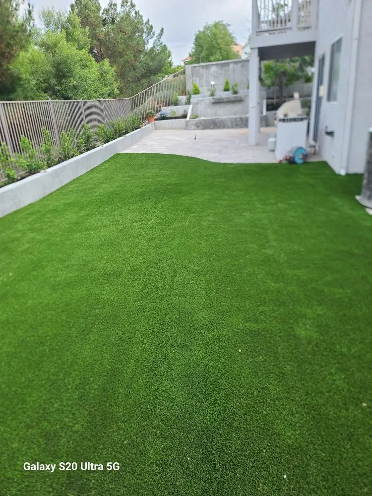 Trusted yard maintenance in Orange, CA - Romero's Tree & Landscaping Services