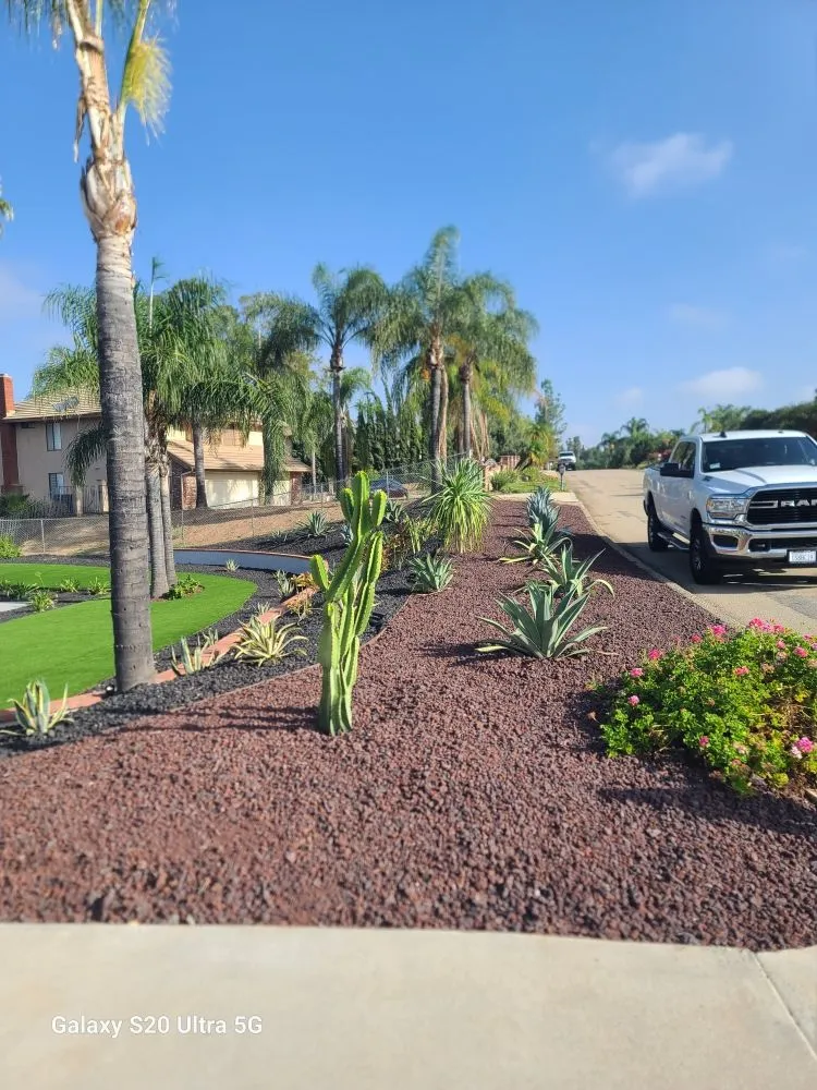 Local yard cleanup service in Orange, CA - Romero's Tree & Landscaping Services