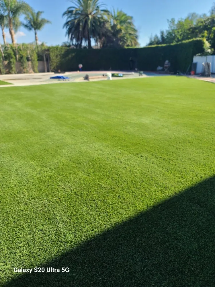 Trusted yard cleanup service with custom design in Orange, CA by Romero's Tree & Landscaping Services