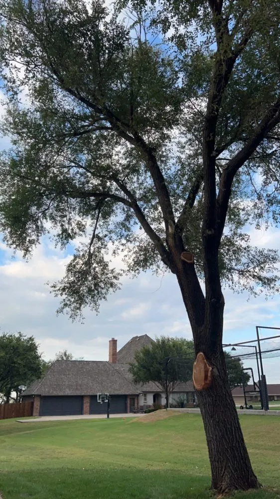 Reliable landscaping services in Ponca City, OK - Romero’s Tree & Landscaping Service’s