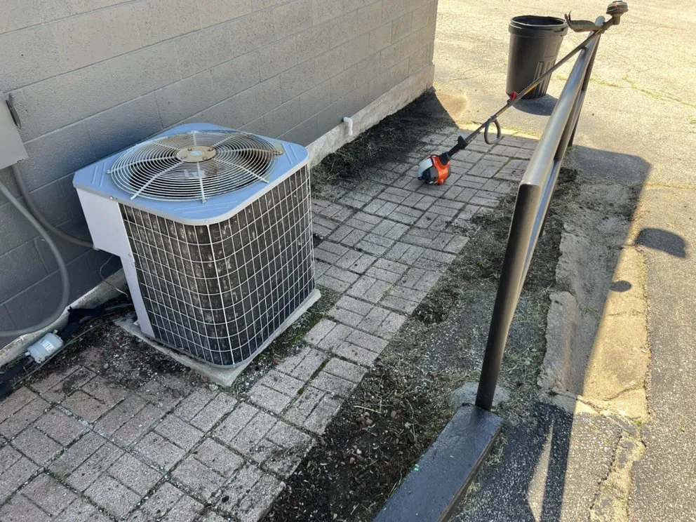 Expert yard cleanup service in Ponca City, OK - Romero’s Tree & Landscaping Service’s