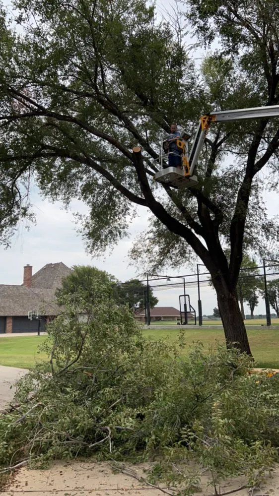 Affordable outdoor landscaping in Ponca City, OK - Romero’s Tree & Landscaping Service’s