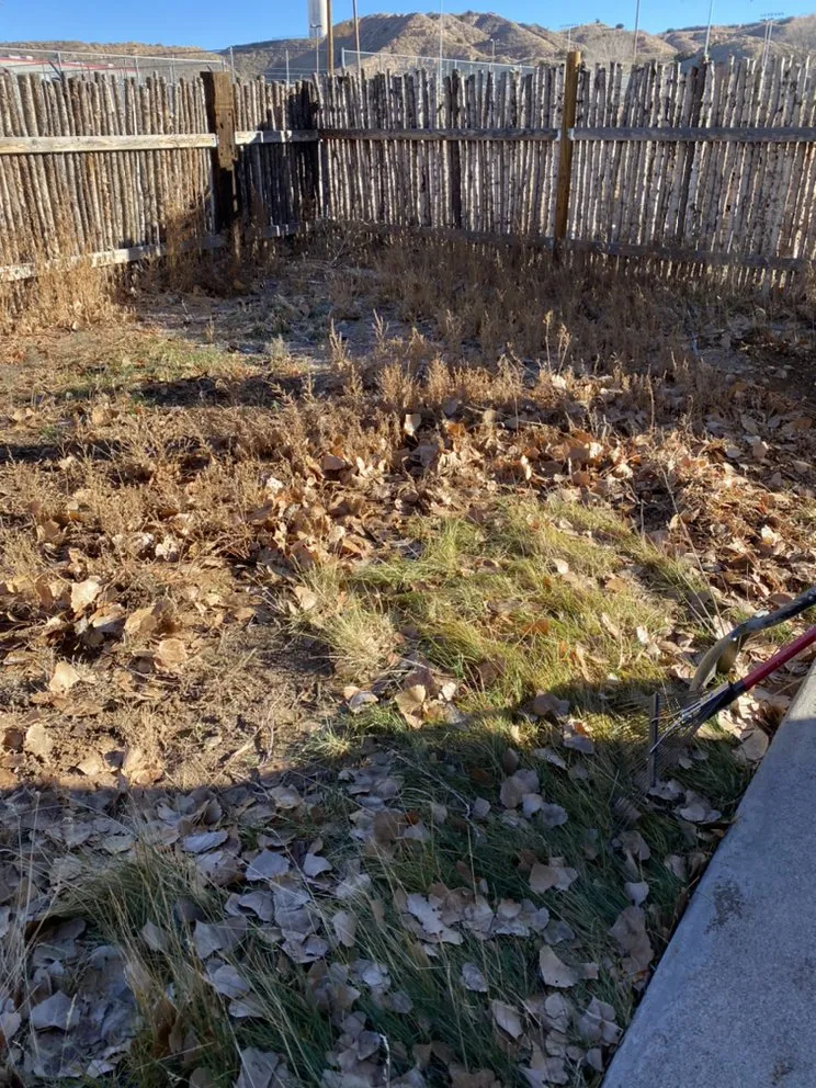 Top-rated lawn mowing service in Española, NM by Romeros Yard and Home Services