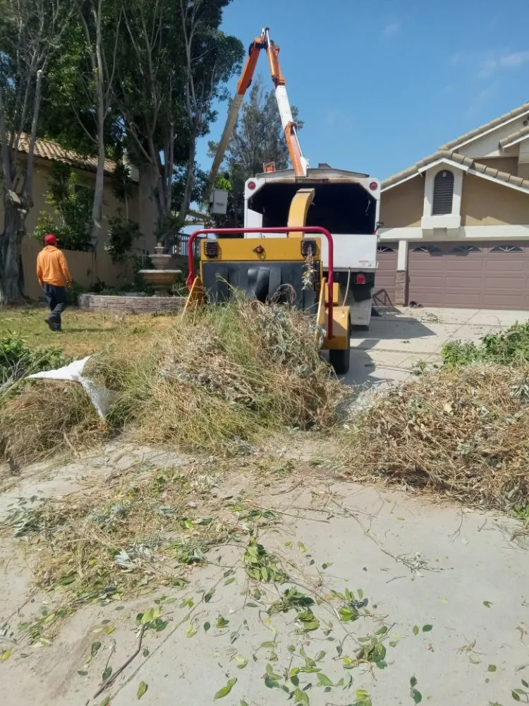 Expert landscaping services for residential properties across Riverside, CA - Romero Tree Service & Landscaping