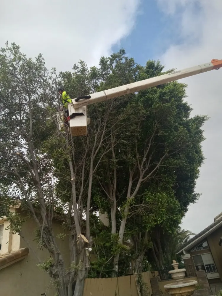 Local garden landscaping for homes across Riverside, CA - Romero Tree Service & Landscaping