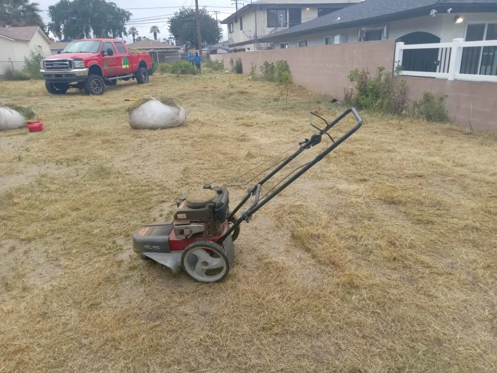 Reliable yard maintenance experts serving Riverside, CA - Romero Tree Service & Landscaping