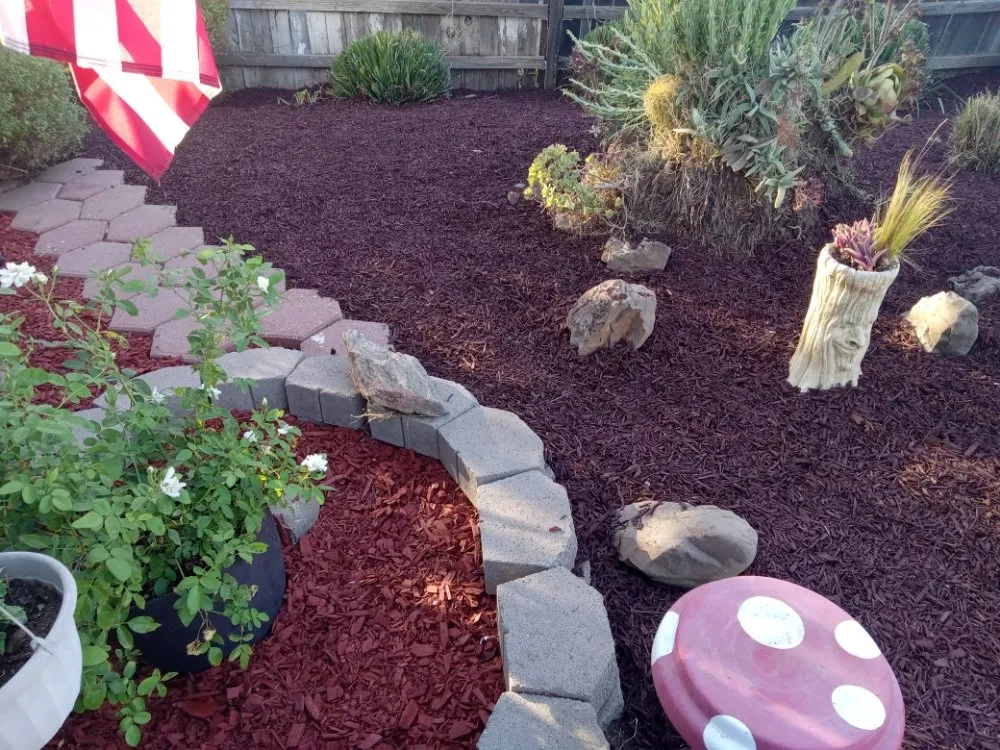 Custom yard maintenance experts serving Riverside, CA - Romero Tree Service & Landscaping