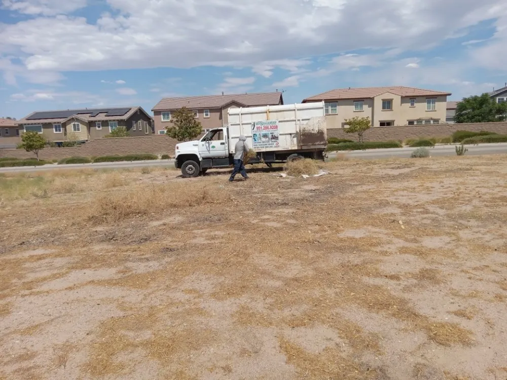 Affordable yard cleanup service experts serving Riverside, CA - Romero Tree Service & Landscaping