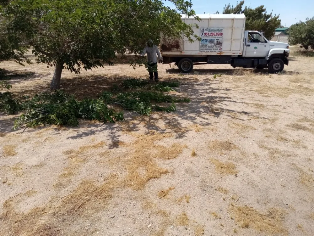 Top-rated lawn mowing service in Riverside, CA by Romero Tree Service & Landscaping