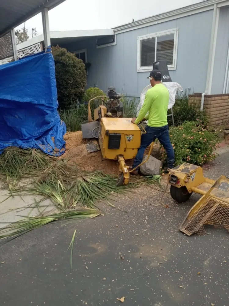 Professional landscaping services in Riverside, CA by Romero Tree Service & Landscaping