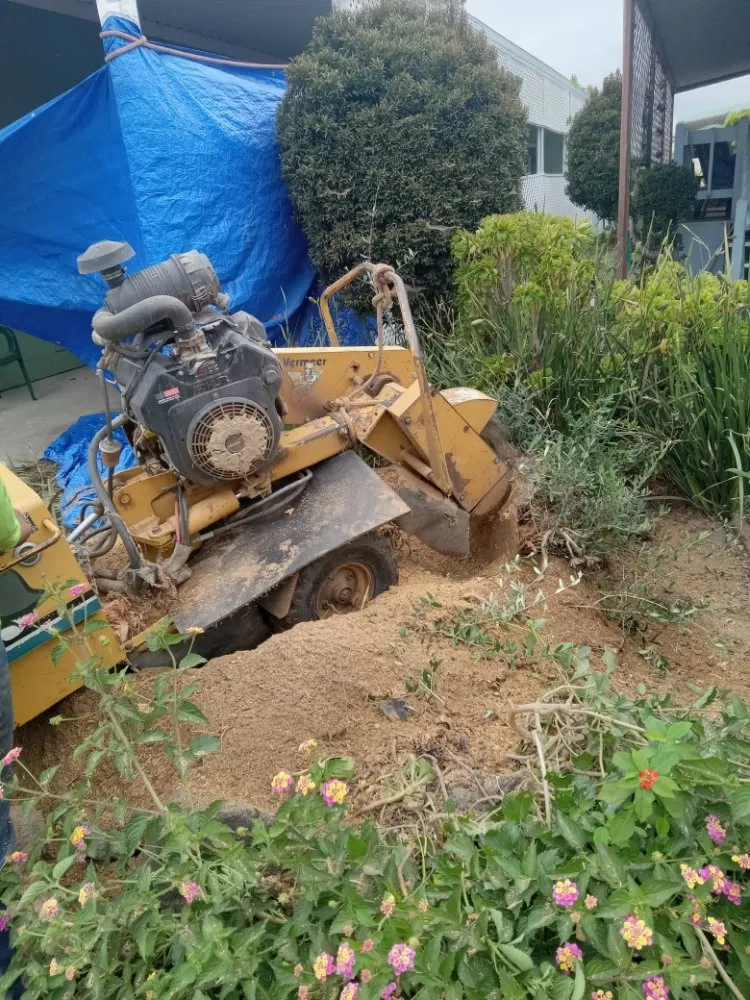 Custom garden landscaping experts serving Riverside, CA - Romero Tree Service & Landscaping